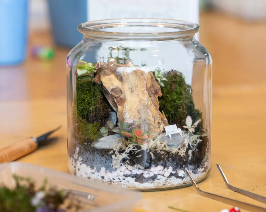 terrariums-140.webp